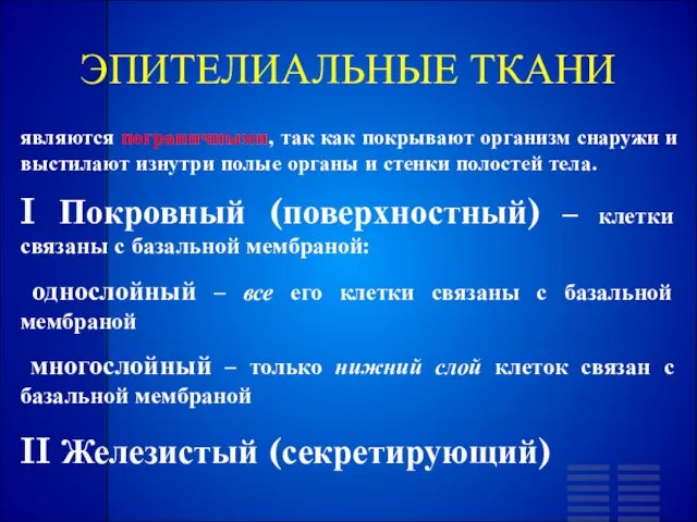 ЭПИТЕЛИАЛЬНЫЕ ТКАНИ являются пограничными, так как покрывают организм снаружи и выстилают