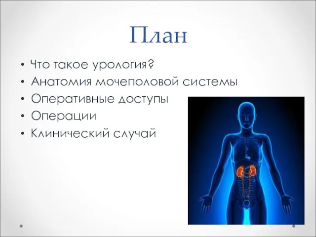 План Что такое урология? Анатомия мочеполовой системы Оперативные доступы Операции Клинический случай