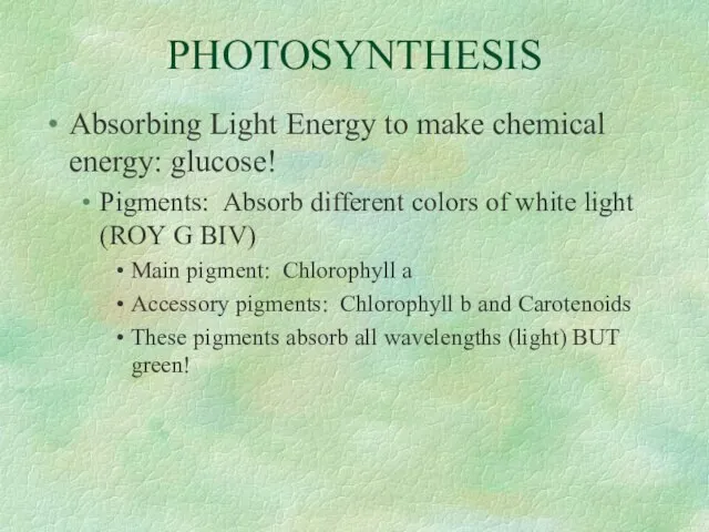PHOTOSYNTHESIS Absorbing Light Energy to make chemical energy: glucose! Pigments: Absorb