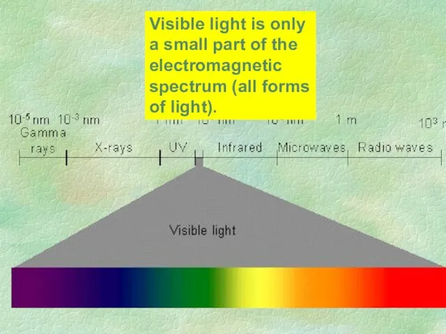 Visible light is only a small part of the electromagnetic spectrum (all forms of light).
