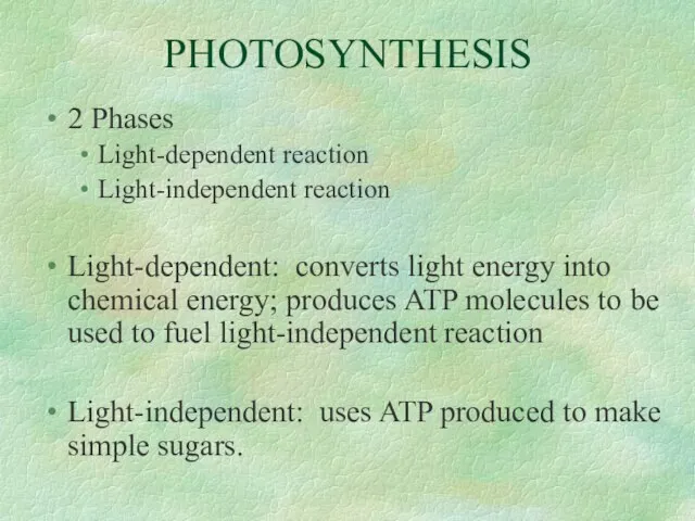 PHOTOSYNTHESIS 2 Phases Light-dependent reaction Light-independent reaction Light-dependent: converts light energy