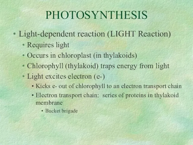 PHOTOSYNTHESIS Light-dependent reaction (LIGHT Reaction) Requires light Occurs in chloroplast (in