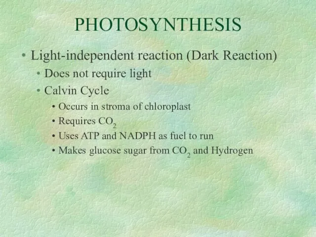 PHOTOSYNTHESIS Light-independent reaction (Dark Reaction) Does not require light Calvin Cycle