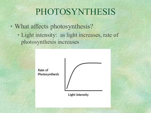 PHOTOSYNTHESIS What affects photosynthesis? Light intensity: as light increases, rate of photosynthesis increases