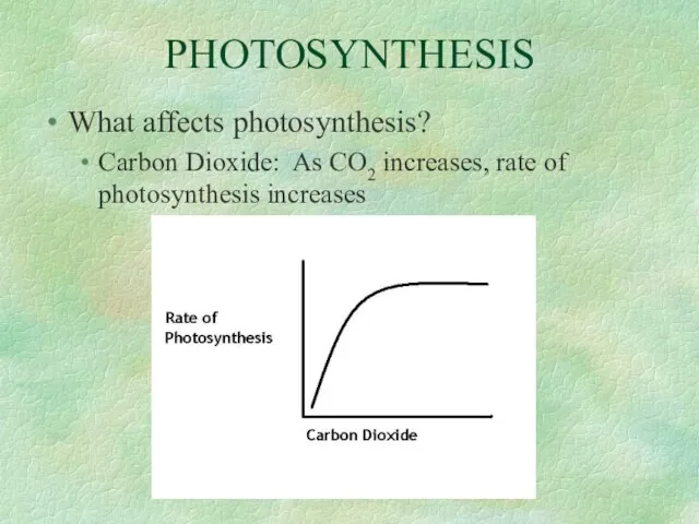 PHOTOSYNTHESIS What affects photosynthesis? Carbon Dioxide: As CO2 increases, rate of photosynthesis increases
