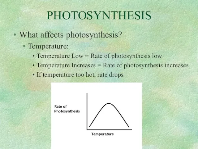 PHOTOSYNTHESIS What affects photosynthesis? Temperature: Temperature Low = Rate of photosynthesis