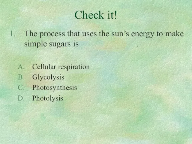 Check it! The process that uses the sun’s energy to make