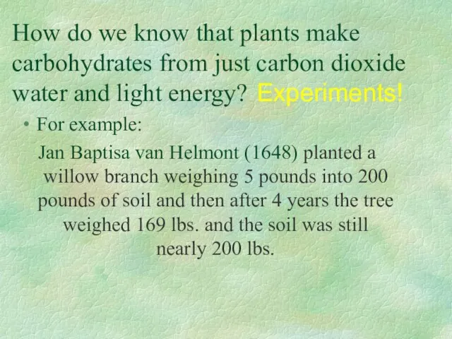 How do we know that plants make carbohydrates from just carbon