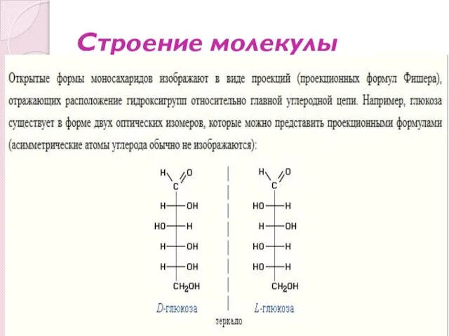 Строение молекулы