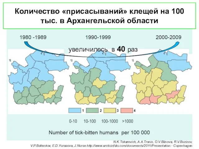 Количество «присасываний» клещей на 100 тыс. в Архангельской области N.K.Tokarevich, A.A.Tronin,