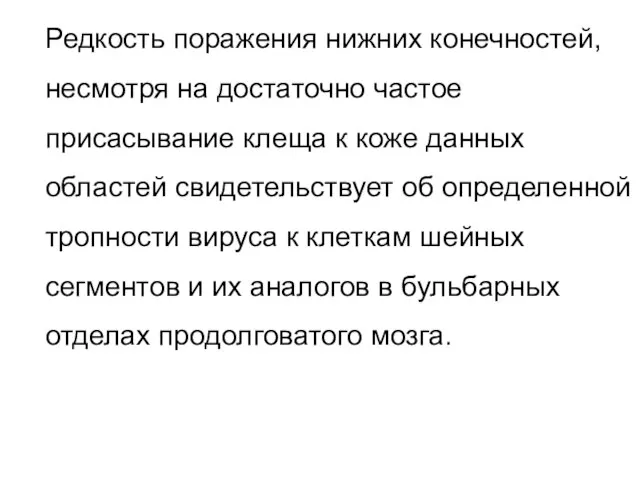 Редкость поражения нижних конечностей, несмотря на достаточно частое присасывание клеща к