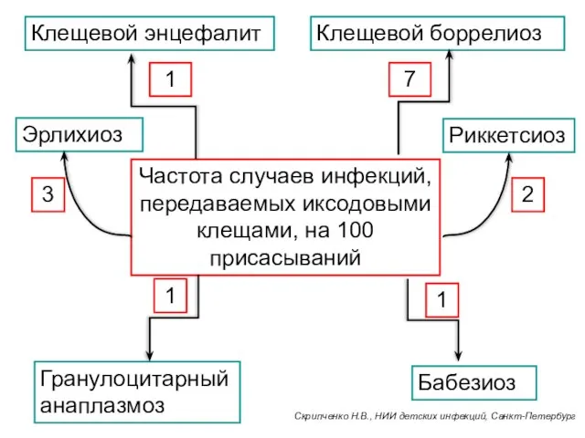 Частота случаев инфекций, передаваемых иксодовыми клещами, на 100 присасываний Клещевой энцефалит