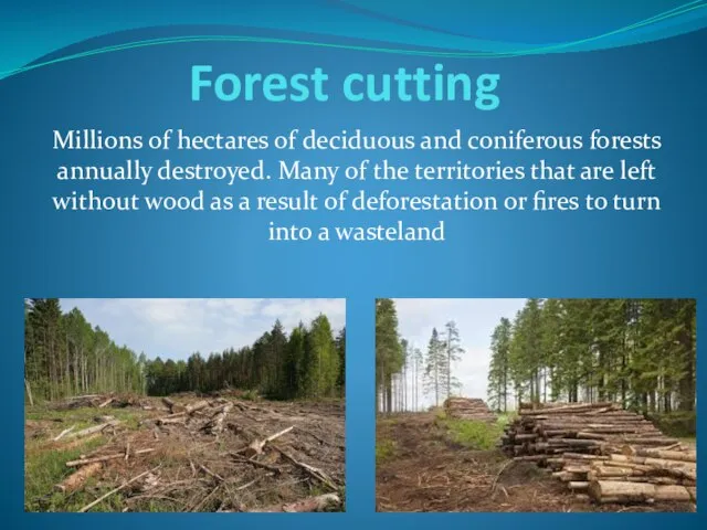 Forest cutting Millions of hectares of deciduous and coniferous forests annually