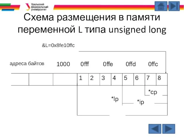 Схема размещения в памяти переменной L типа unsigned long