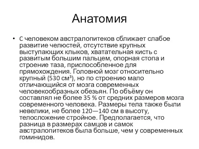 Анатомия C человеком австралопитеков сближает слабое развитие челюстей, отсутствие крупных выступающих