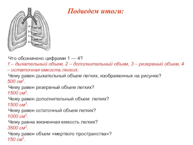 Что обозначено цифрами 1 — 4? 1 – дыхательный объем, 2