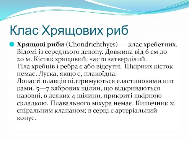 Клас Хрящових риб Хрящові риби (Chondrichthyes) — клас хребетних. Відомі із