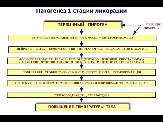 УВЕЛИЧЕНИЕ ЧУВСТВИТЕЛЬНОСТИ ХОЛОДОВЫХ РЕЦЕПТОРОВ ГИПОТАЛАМУСА ПОВЫШЕНИЕ УРОВНЯ "УСТАНОВОЧНОЙ ТОЧКИ" ЦЕНТРА ТЕРМОРЕГУЛЯЦИИ