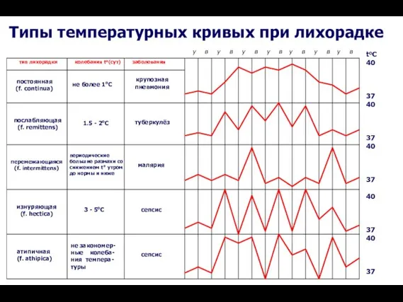 у в у в у в у в у в у