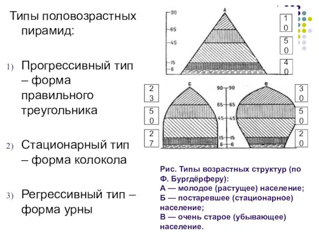 Типы половозрастных пирамид: Прогрессивный тип – форма правильного треугольника Стационарный тип