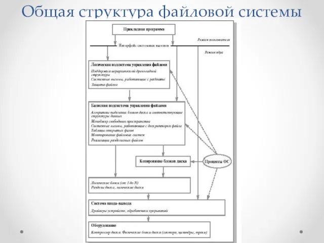 Общая структура файловой системы