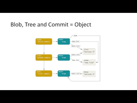 Blob, Tree and Commit = Object