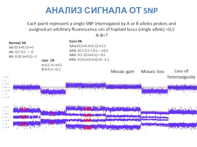 Normal 2N AA:(0.5+0.5)=+1 AB: 0.5-0.5 = 0 BB: 0-(0.5+0.5)=-1 Loss 1N