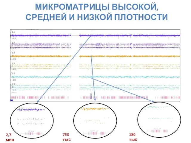 МИКРОМАТРИЦЫ ВЫСОКОЙ, СРЕДНЕЙ И НИЗКОЙ ПЛОТНОСТИ 2,7 млн 750 тыс 180 тыс