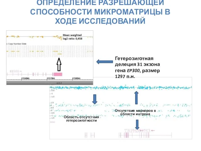 ОПРЕДЕЛЕНИЕ РАЗРЕШАЮЩЕЙ СПОСОБНОСТИ МИКРОМАТРИЦЫ В ХОДЕ ИССЛЕДОВАНИЙ Отсутствие маркеров в области