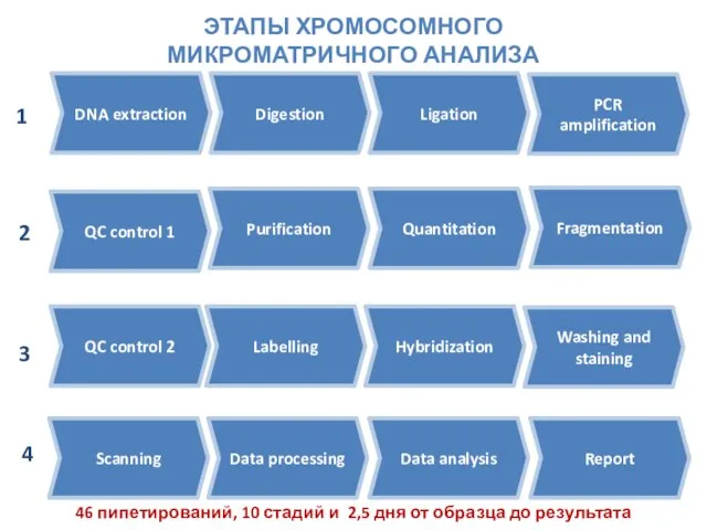 DNA extraction Digestion Ligation PCR amplification QC control 1 Purification Fragmentation