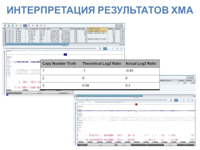 ИНТЕРПРЕТАЦИЯ РЕЗУЛЬТАТОВ ХМА