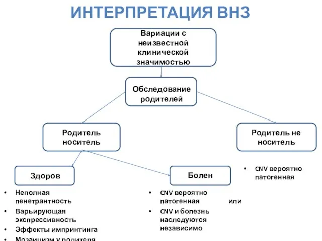 ИНТЕРПРЕТАЦИЯ ВНЗ Вариации с неизвестной клинической значимостью Обследование родителей Родитель не