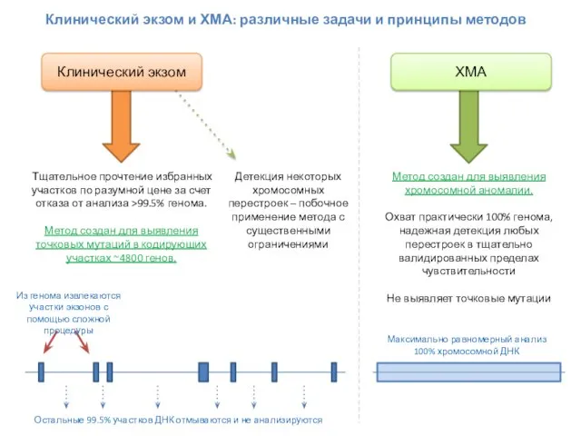 Клинический экзом Тщательное прочтение избранных участков по разумной цене за счет