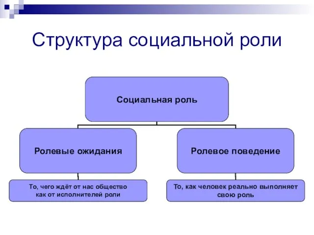 Структура социальной роли