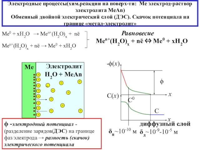 Электродные процессы(хим.реакции на поверх-ти: Ме электрод-раствор электролита MeAn) Обменный двойной электрический