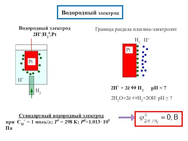 Водородный электрод Граница раздела платина-электролит Водородный электрод 2H+|H20,Pt 2H+ + 2ē