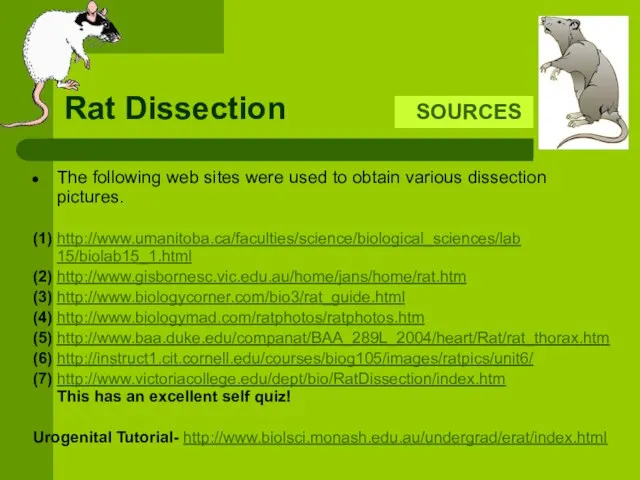 Rat Dissection The following web sites were used to obtain various