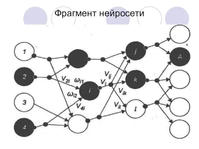 Фрагмент нейросети