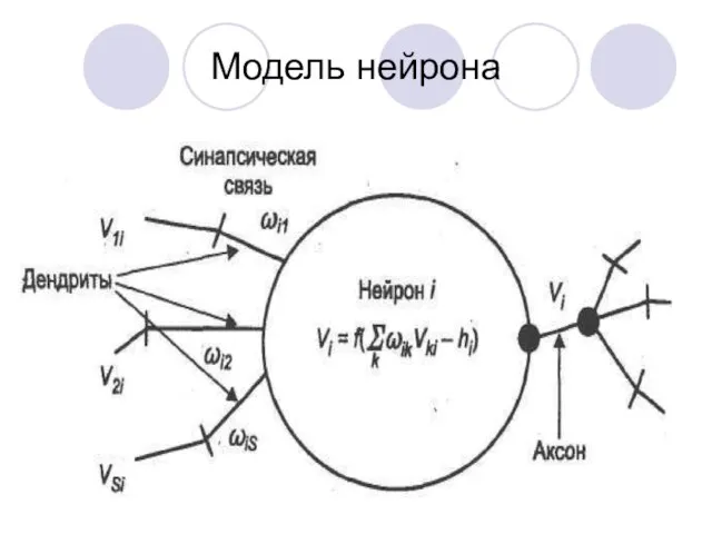 Модель нейрона