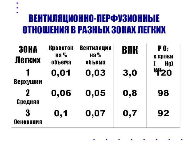 ВЕНТИЛЯЦИОННО-ПЕРФУЗИОННЫЕ ОТНОШЕНИЯ В РАЗНЫХ ЗОНАХ ЛЕГКИХ