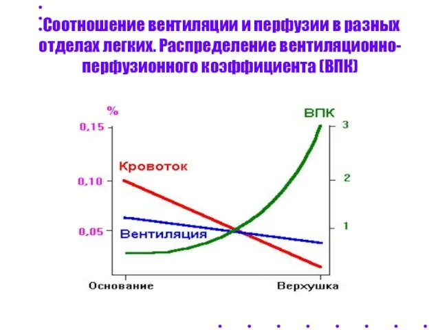 Соотношение вентиляции и перфузии в разных отделах легких. Распределение вентиляционно-перфузионного коэффициента (ВПК)