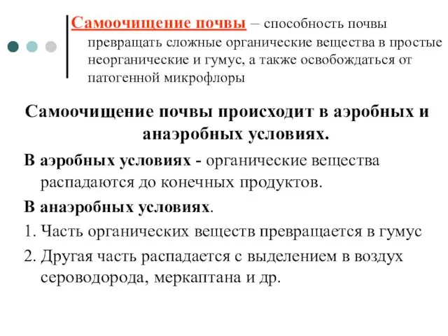 Самоочищение почвы происходит в аэробных и анаэробных условиях. В аэробных условиях