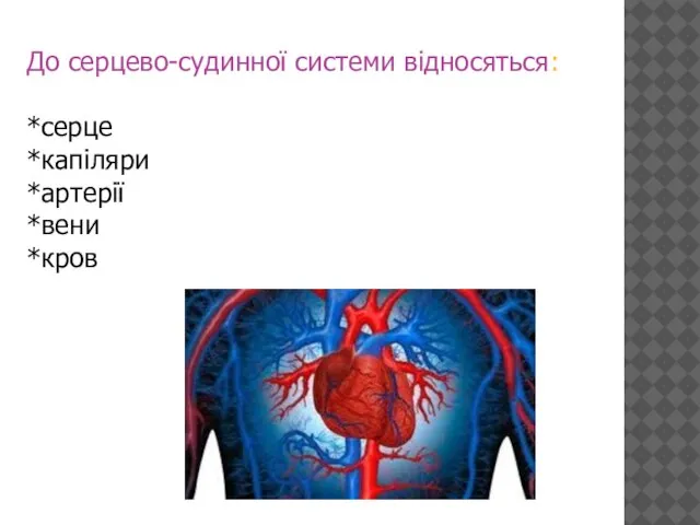 До серцево-судинної системи відносяться: *серце *капіляри *артерії *вени *кров
