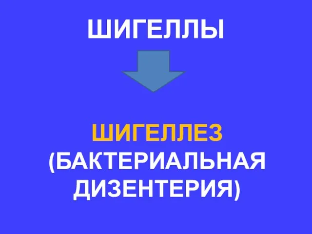 ШИГЕЛЛЫ ШИГЕЛЛЕЗ (БАКТЕРИАЛЬНАЯ ДИЗЕНТЕРИЯ)