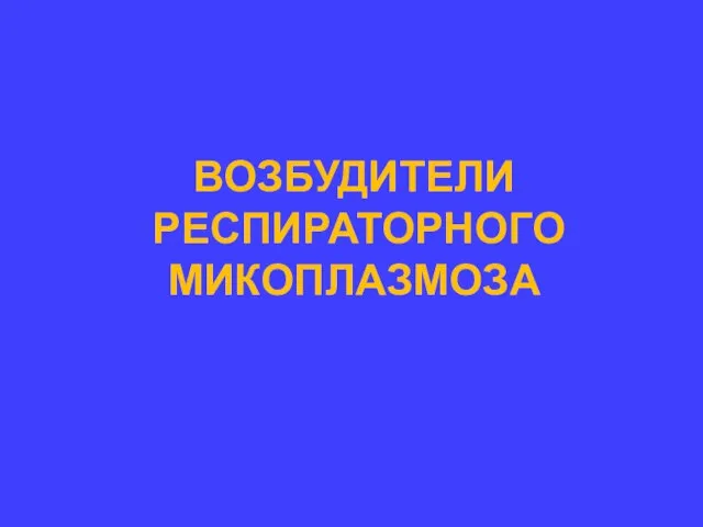 ВОЗБУДИТЕЛИ РЕСПИРАТОРНОГО МИКОПЛАЗМОЗА