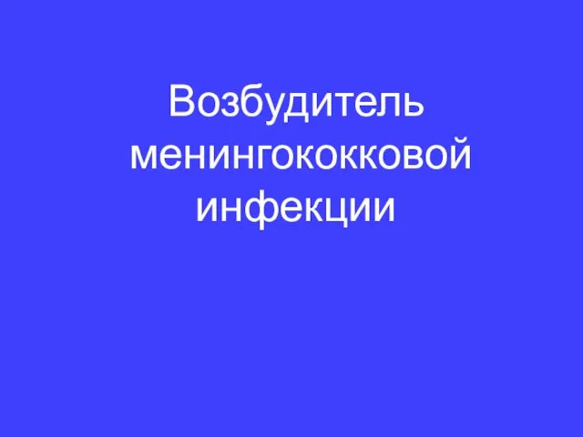 Возбудитель менингококковой инфекции