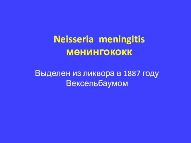 Neisseria meningitis менингококк Выделен из ликвора в 1887 году Вексельбаумом