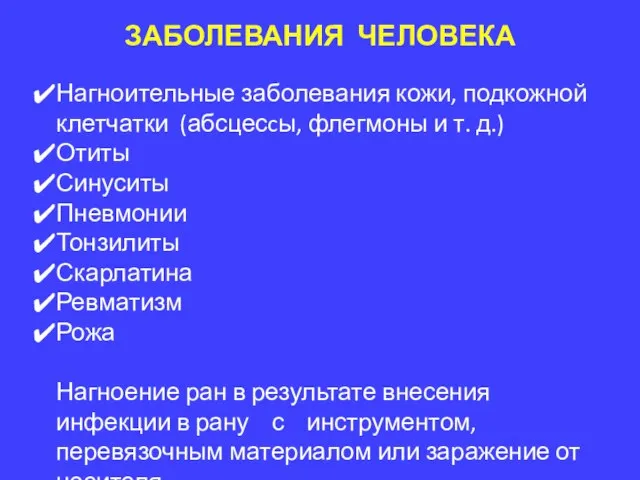 ЗАБОЛЕВАНИЯ ЧЕЛОВЕКА Нагноительные заболевания кожи, подкожной клетчатки (абсцесcы, флегмоны и т.