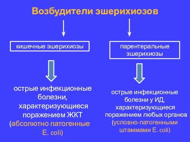 Возбудители эшерихиозов кишечные эшерихиозы парентеральные эшерихиозы острые инфекционные болезни, характеризующиеся поражением