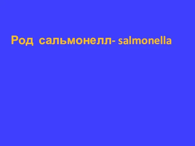 Род сальмонелл- salmonella